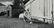 Frankenweenie (2012) 480p.BDRip.XviD.AC3-ELiTE / Napisy PL Frankenweenie (2012) 480p.BDRip.XviD.AC3-ELiTE / Napisy PL