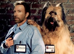 Суперпёс / Top Dog (1995) Chuck Norris  8479d1233445552