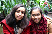 imagebam.com