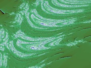 ImageBam image upload