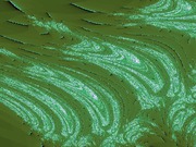 ImageBam image upload