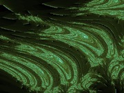 ImageBam image upload