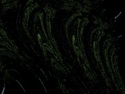 ImageBam image upload