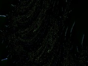 ImageBam image upload