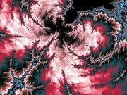 ImageBam image upload