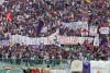 фотогалерея ACF Fiorentina - Страница 7 6f87ad276127652
