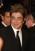 Бенисио Дель Торо (Benicio Del Toro) Cannes Film Festival, 'Sin City' Premiere (19 May 2005) (86xHQ) 7a1fd5278578752