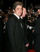 Бенисио Дель Торо (Benicio Del Toro) Cannes Film Festival, 'Sin City' Premiere (19 May 2005) (86xHQ) Cd6e23278578633