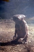 Инопланетянин / E.T. the Extra-Terrestrial (Дрю Бэрримор, 1982)  F59e1b287724648