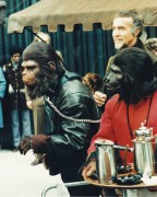 Завоевание планеты обезьян / Conquest of the Planet of the Apes (1972) 9b0942402065393