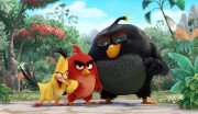 Сердитые птички / Angry Birds (2016) E37b22406441936