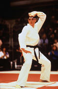 Парень-каратист / The Karate Kid (Ральф Маччио, Пэт Морита, 1984) E1da14407978886